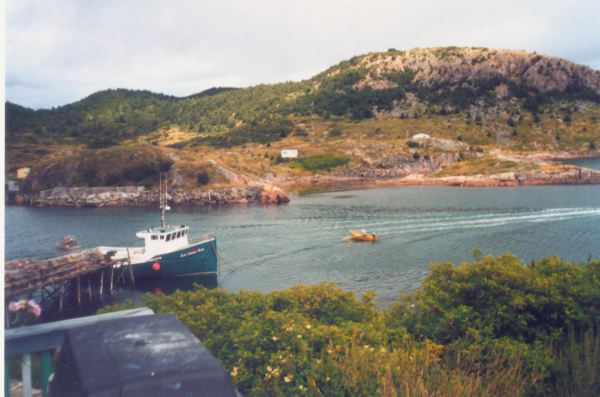 594: Red Island. "Rowing in Maurice Barry's flat". (2002) [courtesy of Heather Walsh]